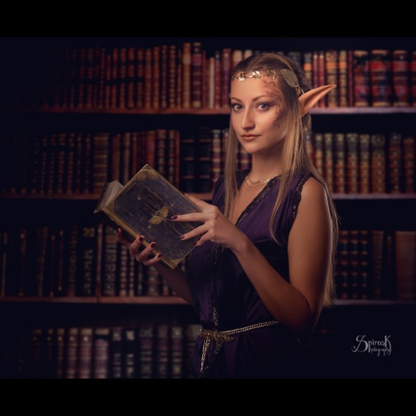 High-Elf Scholar