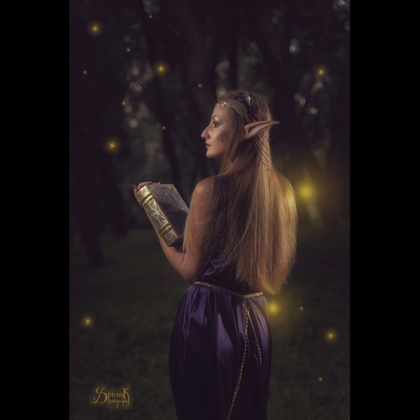 High-Elf Scholar