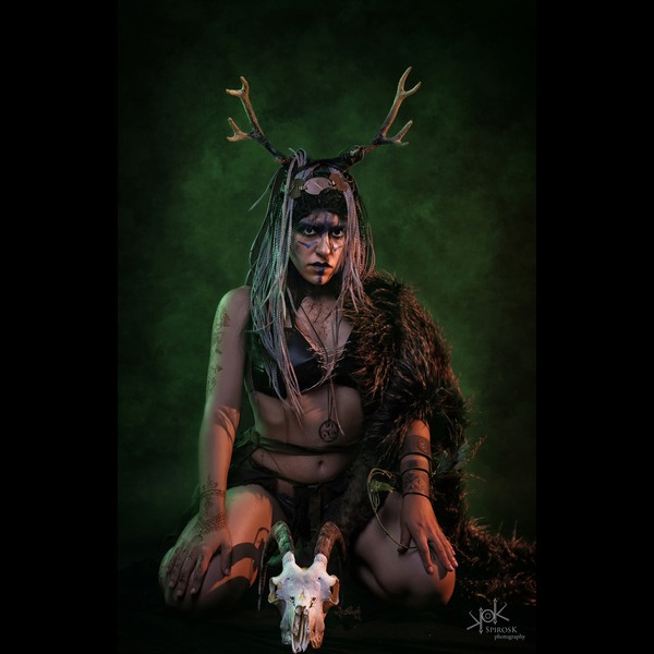 The Viking Witch
