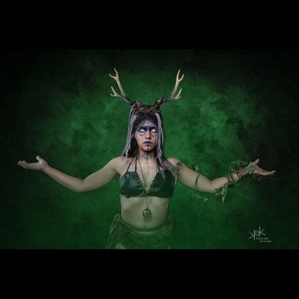The Viking Witch