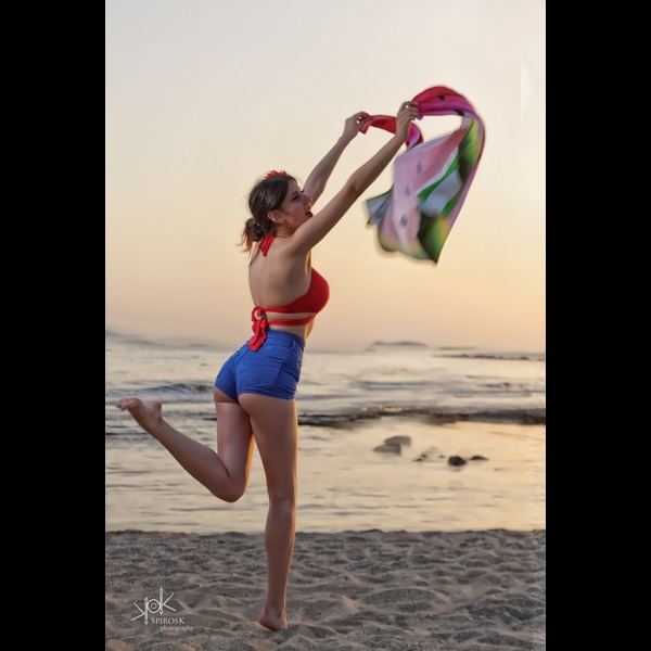 Summer Beach pinup