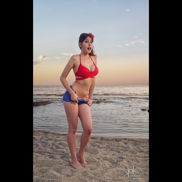 Summer Beach pinup