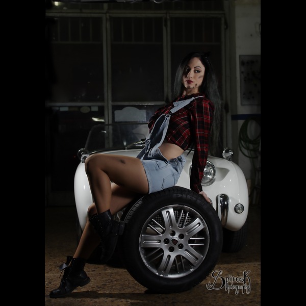 The Car Mechanic pinup