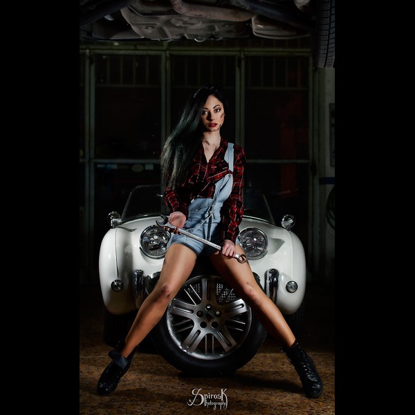 The Car Mechanic pinup
