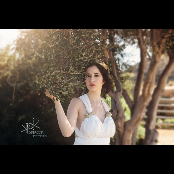 The Ancient Greek Woman
