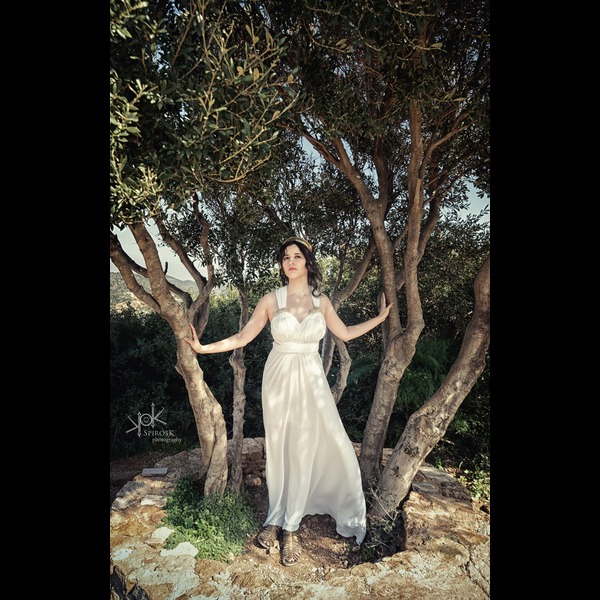 The Ancient Greek Woman