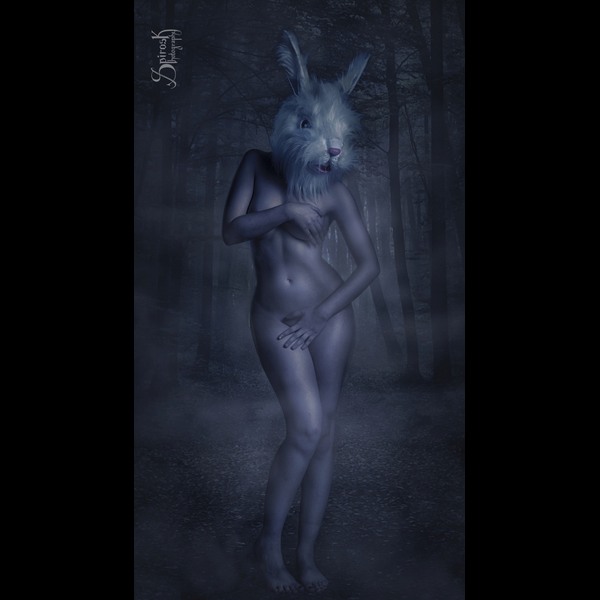 Nude Bunny